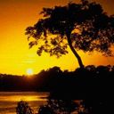amazonia equador 