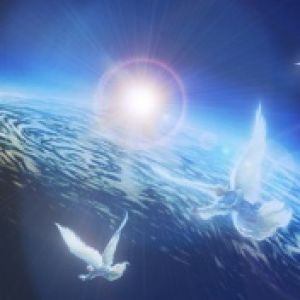Dove