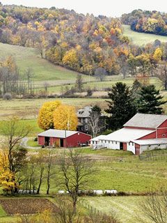 Amish-Country -Ohio