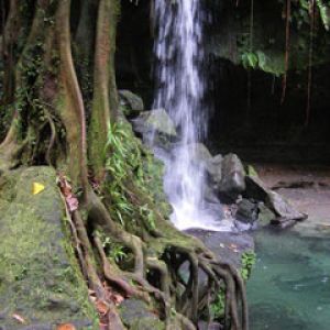 Dominica-Emerald-Pool