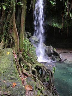 Dominica-Emerald-Pool