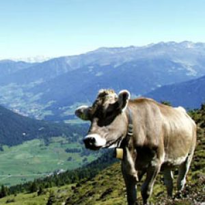 Tirol