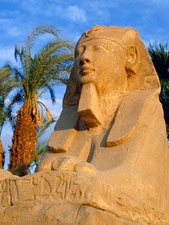 Luxor - Egypt