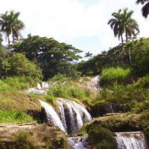 cuba el nicho