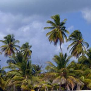 Bahamas