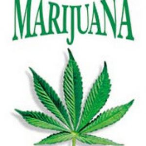 marijuana