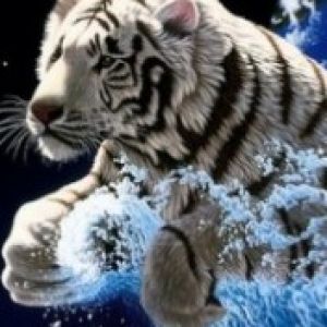 White Tiger