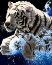 White Tiger