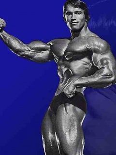 Arnold