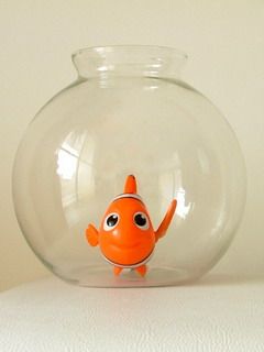 Fish in Bowl - Nemo