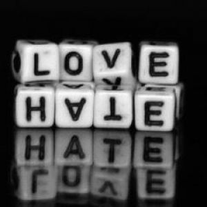 love or hate