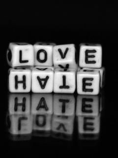 love or hate