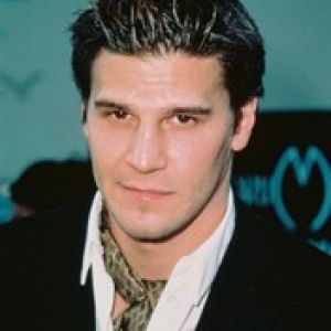 David Boreanaz