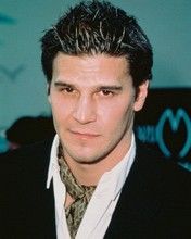 David Boreanaz