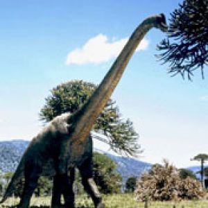 brachiosaurus