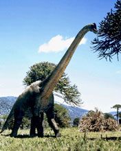 brachiosaurus