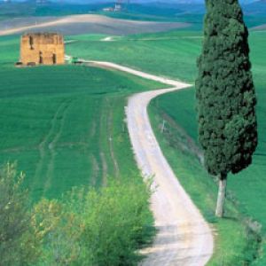 Country Road Tuscany Italy
