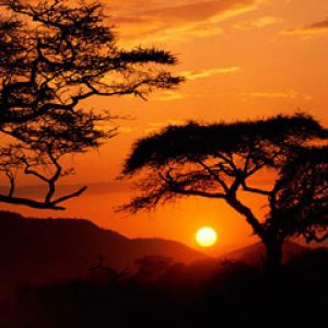 Serengeti National Park Sunset Tanzania
