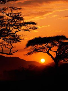 Serengeti National Park Sunset Tanzania