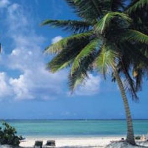 Dominica
