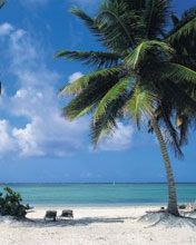 Dominica