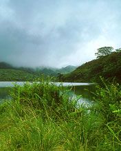 Dominica Real EstateUupper Lake