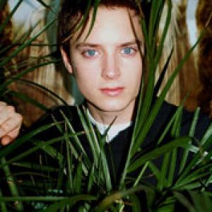 Elijah Wood