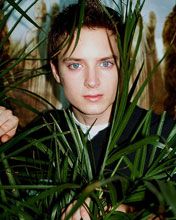 Elijah Wood