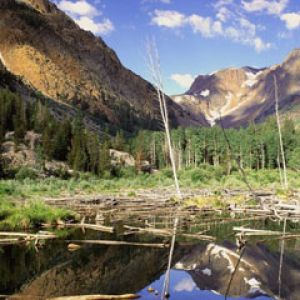Beaver Pond-Lundy-Canyon-Sierra-Nevada-Range-Ca