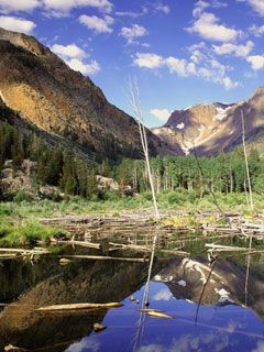 Beaver Pond-Lundy-Canyon-Sierra-Nevada-Range-Ca