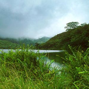 Dominica - Real Estate Upper Lake