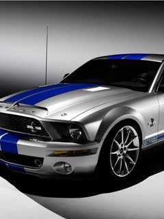 mustang