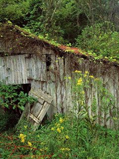 An Old Abandoned Barn - Williamson County - Tennes