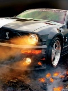 mustang