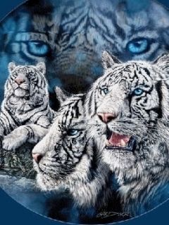 White Tiger