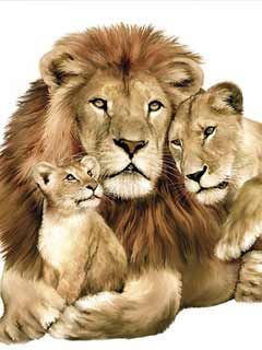 Lions