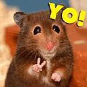 yo