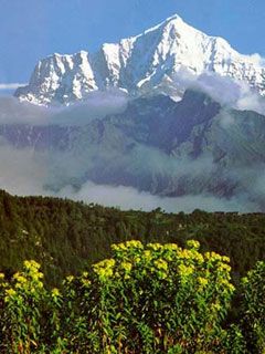 Tibet