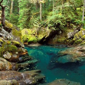 Ohanapecosh River Mt Rainier National Park Washing