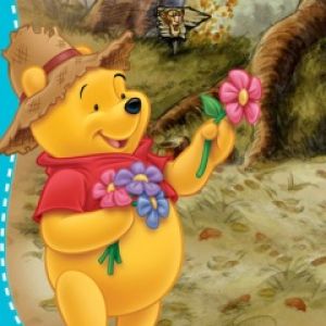 Winnie The Pooh