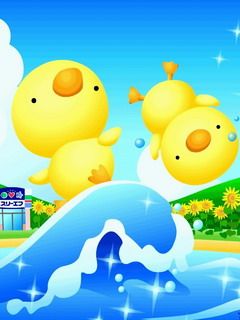 Ducks