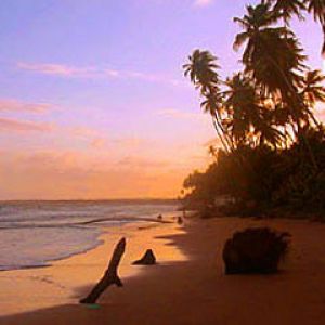 Trinidad Beachfront 