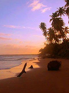 Trinidad Beachfront 