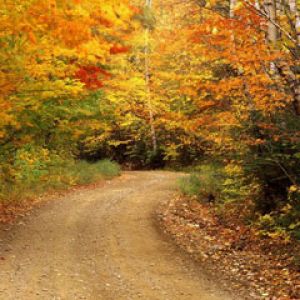 Autumn-Color Baxter-State-Park Maine