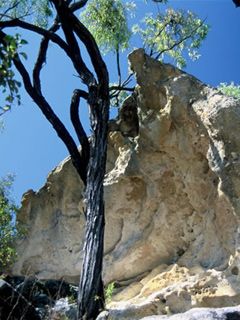 Castle rock - Georgetown