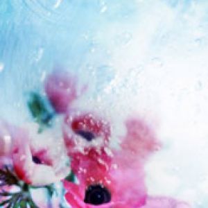 Radiant Wallpapers 