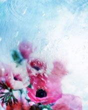 Radiant Wallpapers 