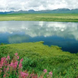 Alaska-Range -Alaska
