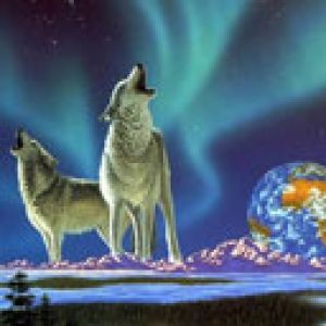 animals