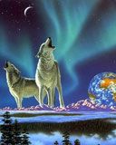 animals